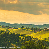 Buy canvas prints of A Beautiful Sunset over a Styrian Vineyard in Austria by Przemek Iciak
