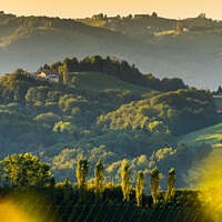 Buy canvas prints of South styria vineyards landscape, near Gamlitz, Austria, Eckberg, Europe. Grape hills view from wine road in spring. Tourist destination, vertical photo by Przemek Iciak