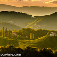 Buy canvas prints of South styria vineyards landscape, near Gamlitz, Austria, Eckberg, Europe. Grape hills view from wine road in spring. Tourist destination, panorama by Przemek Iciak