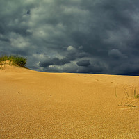 Buy canvas prints of sand dune, bush and thunderstorm by federico stevanin