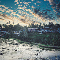 Buy canvas prints of  Tegallalang rice teracces In Bali, Indonesia by federico stevanin