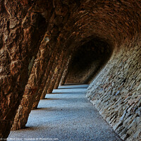 Buy canvas prints of Park Guell Columns in Barcelona, Spain by Luis Pina