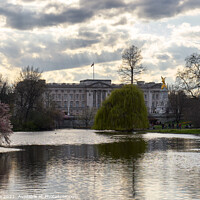 Buy canvas prints of Buckingham Palace and St James Park in London, England by Luis Pina