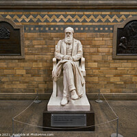 Buy canvas prints of Charles Darwin statue in Natural history museum in London, England by Luis Pina