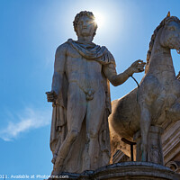 Buy canvas prints of Pollux Statue in Campidoglio Square by Luis Pina