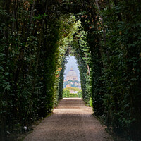 Buy canvas prints of View of the Vatican Basilica through a tree path in Rome, Italy by Luis Pina