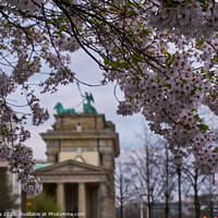 Buy canvas prints of View of the Brandenburger Tor between flowers in Berlin, Germany by Luis Pina