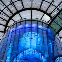 Buy canvas prints of Aquarium inside Radisson Hotel Sea Life in Berlin by Luis Pina