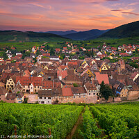 Buy canvas prints of View of Riquewihr from the top of the hill with a vineyard on the foreground by Luis Pina