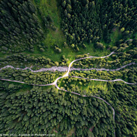 Buy canvas prints of Aerial Drone view of trees from the top on a forest on the Italian Dolomites Alps in Santa Magdalena by Luis Pina