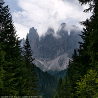 Buy canvas prints of View of Furchetta mountain between trees on the Dolomites Italian Alps mountains by Luis Pina
