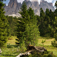 Buy canvas prints of View of Furchetta mountain with trees on the foreground on the Dolomites Italian Alps mountains by Luis Pina