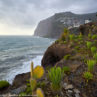 Buy canvas prints of View of Cape Girão with Cactus on the foreground in Camara de Lobos, Madeira by Luis Pina