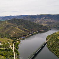 Buy canvas prints of Douro railway bridge drone aerial view of river wine region in Ferradosa, Portugal by Luis Pina