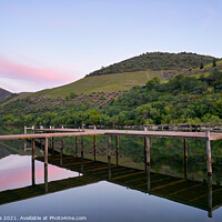 Buy canvas prints of Douro river wine region vineyard landscape at sunset in Foz Tua, Portugal by Luis Pina