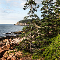 Buy canvas prints of View from Acadia National Park in Summer with ocea by Miro V