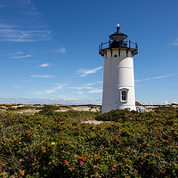 Buy canvas prints of Race Point lighthouse in Provincetown by Miro V