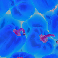 Buy canvas prints of Abstract Closeup of Electric Blue Bell Peppers wit by William Jell