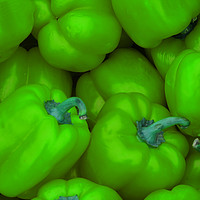 Buy canvas prints of Crate of green bell peppers at Farmers Market by William Jell
