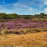 Buy canvas prints of Outdoor field by  Bullysoft