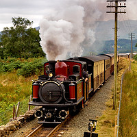 Buy canvas prints of David Lloyd George at Tro Peudy. by mark baker