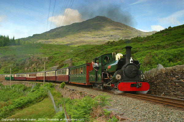 blanche on tank curve,Ffestiniog Railway. Picture Board by mark baker