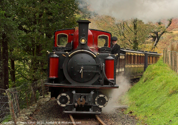 Vintage train above Dduallt Manor. Picture Board by mark baker