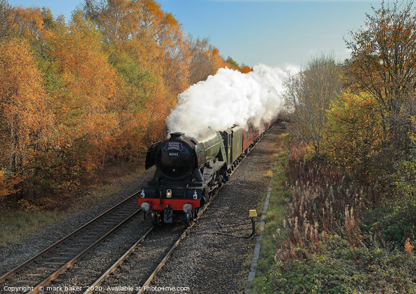 Flying Scotsman at speed. Picture Board by mark baker