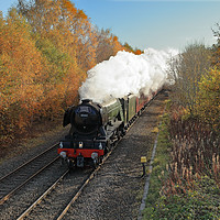 Buy canvas prints of Flying Scotsman at speed. by mark baker