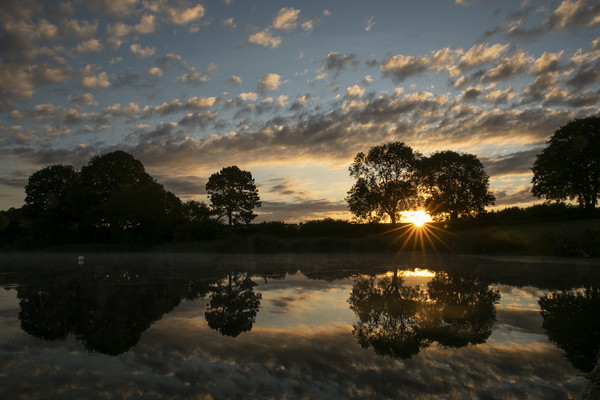 Sunrise over Sywell Country Park Picture Board by Leila Coker