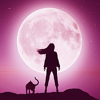 Buy canvas prints of Girl with the cat on the cliff looking to the moon by chainat prachatree