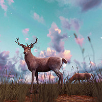 Buy canvas prints of Deer in grass field at sunset or sunrise,3d illust by chainat prachatree