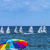 Buy canvas prints of Laser Small Sailboat Racing Blue Ocean Fort Lauderdale Beach Flo by William Perry