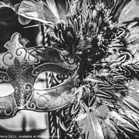 Buy canvas prints of Black White Mask Feathers Mardi Gras New Orleans Louisiana by William Perry