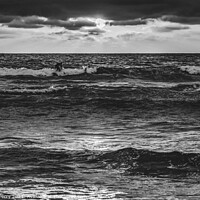 Buy canvas prints of Black White Surfers Sunset La Jolla Shores Beach San Diego Calif by William Perry
