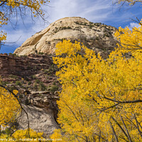 Buy canvas prints of Yellow Trees White Rock Dome Valley Canyonlands Needles Utah by William Perry