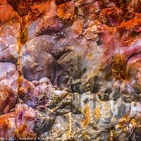 Buy canvas prints of Petrified Wood Rock Abstract National Park Arizona by William Perry