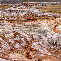 Buy canvas prints of Petrified Wood Rock Logs National Park Arizona by William Perry