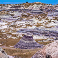 Buy canvas prints of Purple Mountain Painted Desert Petrified Forest National Park Ar by William Perry