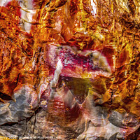 Buy canvas prints of Petrified Wood Rock Abstract National Park Arizona by William Perry