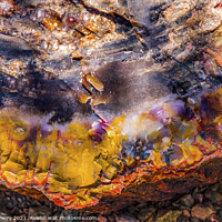 Buy canvas prints of Petrified Wood Rock Log Abstract National Park Arizona by William Perry