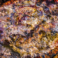 Buy canvas prints of Petrified Wood Rock Log Abstract National Park Arizona by William Perry