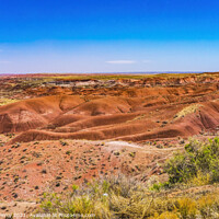 Buy canvas prints of Tiponi Point Painted Desert Petrified Forest National Park Arizo by William Perry