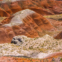Buy canvas prints of Tawa Point Painted Desert Petrified Forest National Park Arizona by William Perry