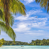 Buy canvas prints of Colorful Beach Palm Trees Islands Boat Blue Water Moorea Tahiti by William Perry