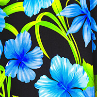 Buy canvas prints of Colorful Blue Hibiscus Cloth Fabric Moorea Tahiti  by William Perry