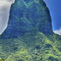 Buy canvas prints of Colorful Mount Tohivea Highest Mountain Moorea Tahiti by William Perry