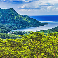 Buy canvas prints of Colorful Opunohu Bay Moorea Tahiti by William Perry