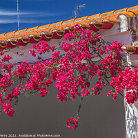 Buy canvas prints of Pink Bougainvillea Orange Roof Andalusia Spain by William Perry