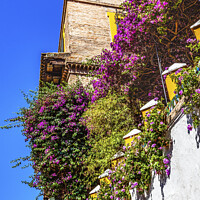 Buy canvas prints of Colorful Building Wall Santa Cruz Garden District Seville Spain by William Perry